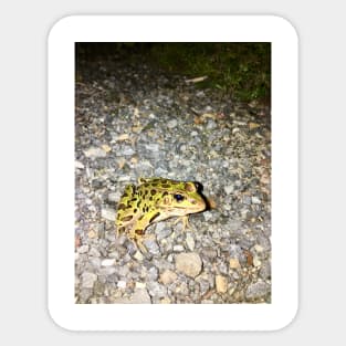 Nice Frog Sticker
